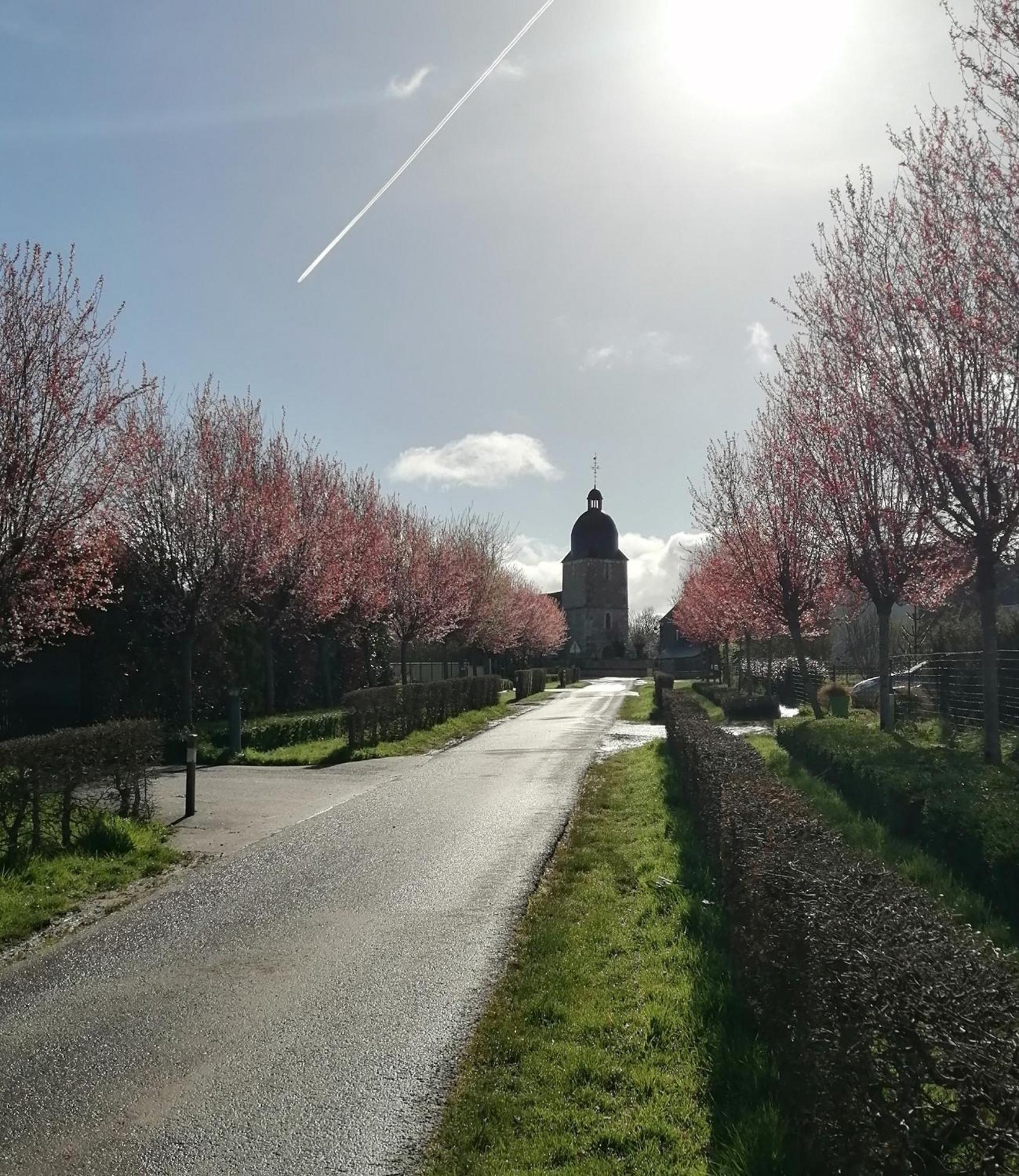 La Vieille Ferme Villa Donnay ภายนอก รูปภาพ